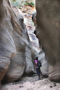 Slot canyon in Zion