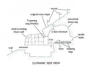 Cutaway side view of a finished snow cave. Illustration by The Mountaineers Books.
