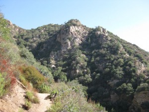 The Castle Rock trail is largely unscathed. Note the dense vegetation as it still exists.