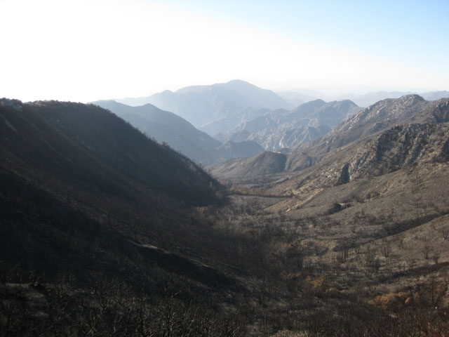 The California Station Fire destroyed many acres of the Angeles National Forest. 