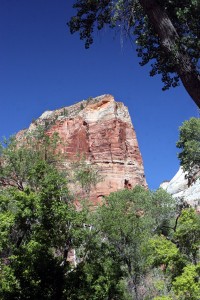 Angels Landing is a short but strenuous hike in Zion National Park.