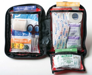 Adventure Medical Kit's AFA 2.0 is perfect for a group of up to four people and features antiseptic, wipes, bandages and more. 