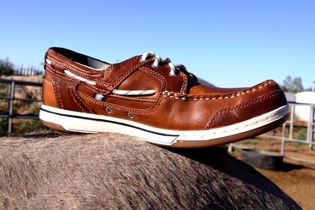 sebago triton shoes