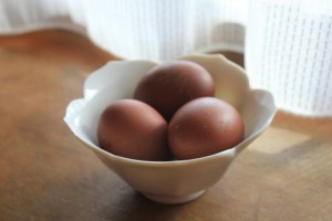 Fresh eggs are on the list of breakfast ingredients