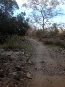 Trabuco Trail